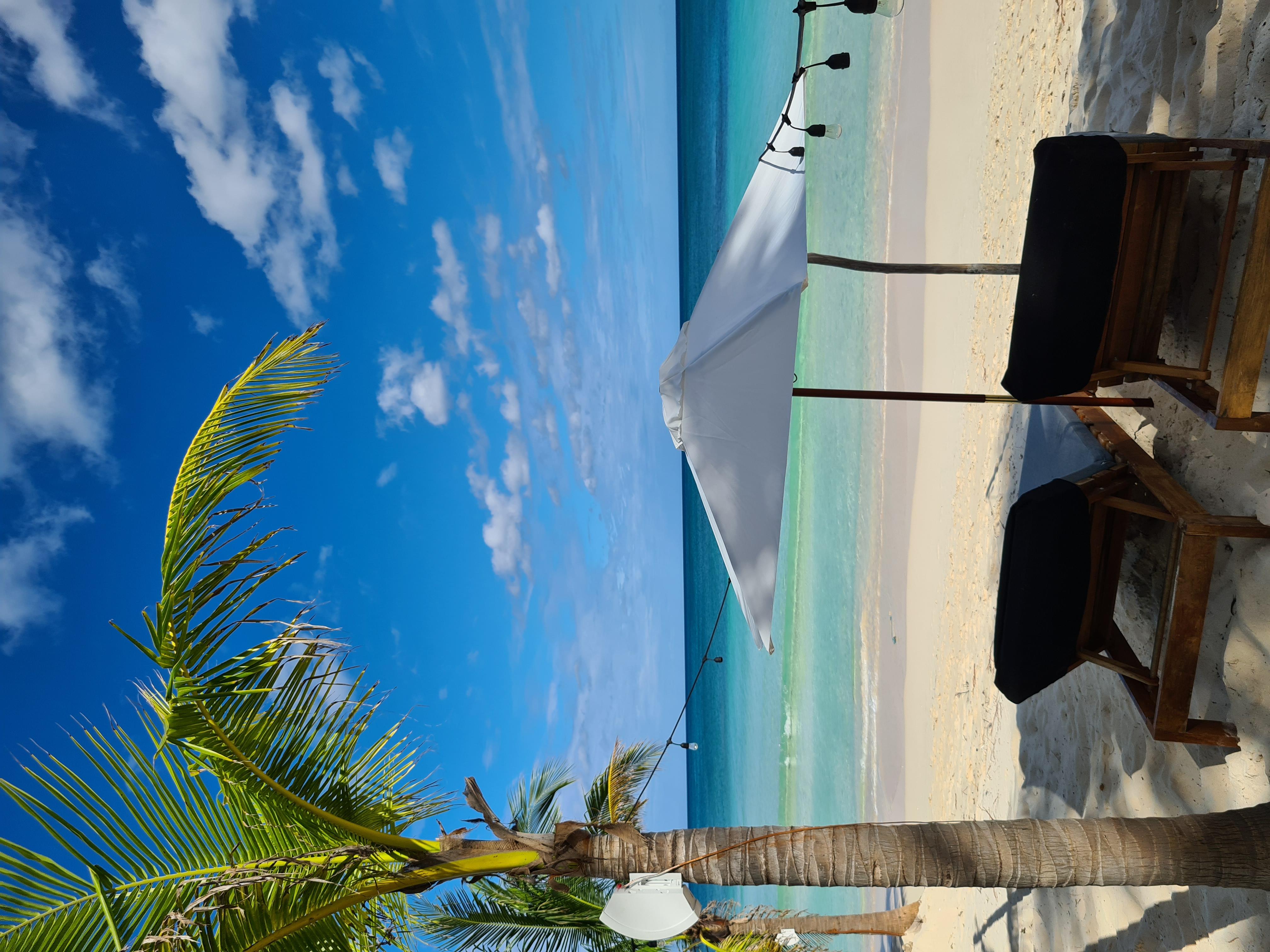 Los Amigos Beach Hotel Boutique Τουλούμ Εξωτερικό φωτογραφία