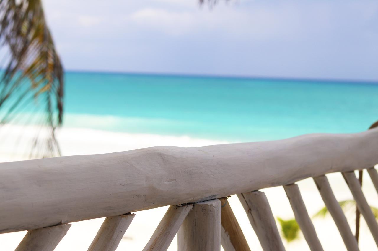 Los Amigos Beach Hotel Boutique Τουλούμ Εξωτερικό φωτογραφία