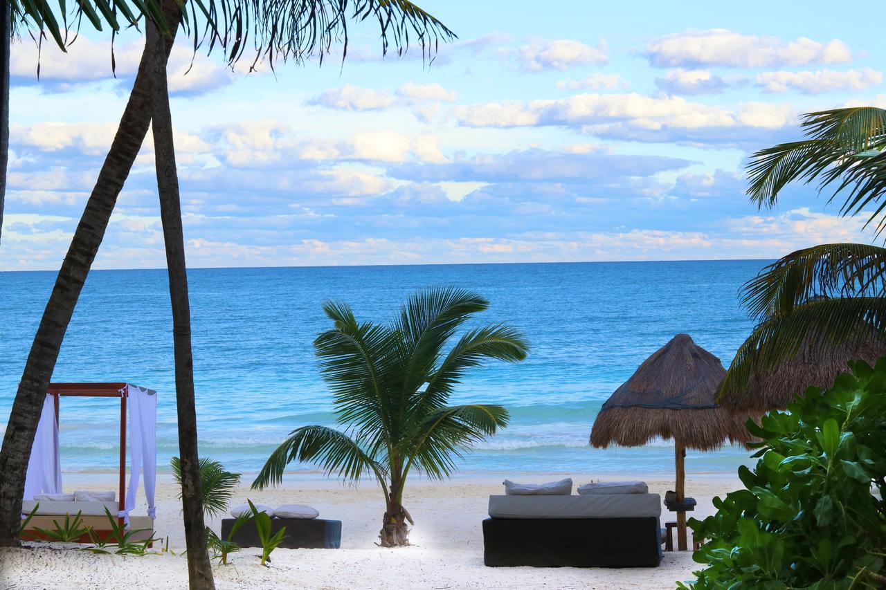 Los Amigos Beach Hotel Boutique Τουλούμ Εξωτερικό φωτογραφία