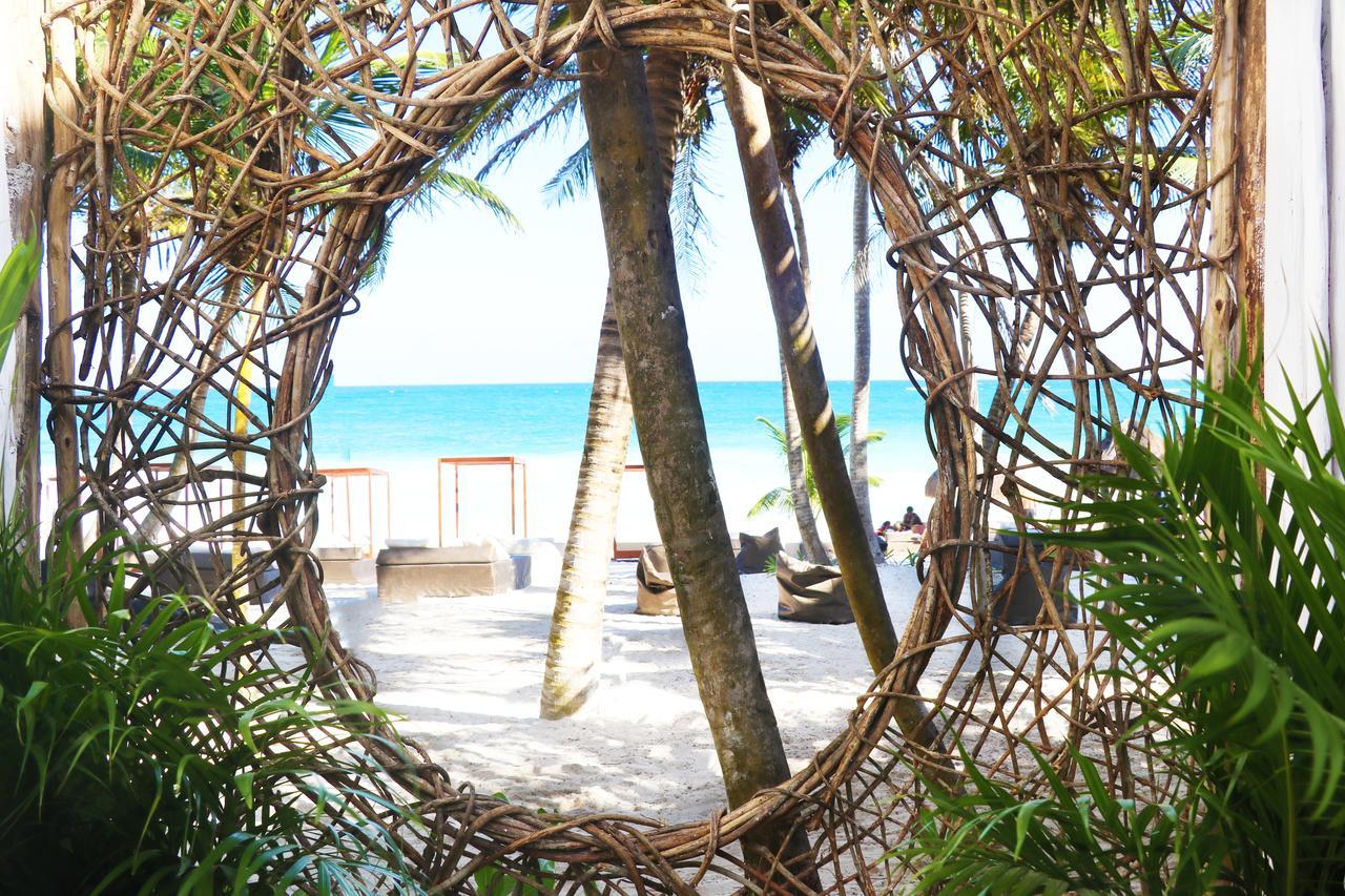 Los Amigos Beach Hotel Boutique Τουλούμ Εξωτερικό φωτογραφία
