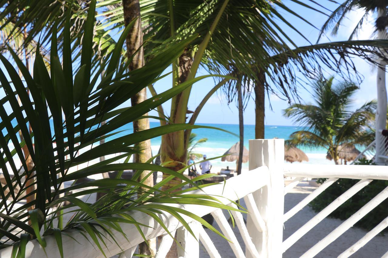 Los Amigos Beach Hotel Boutique Τουλούμ Εξωτερικό φωτογραφία